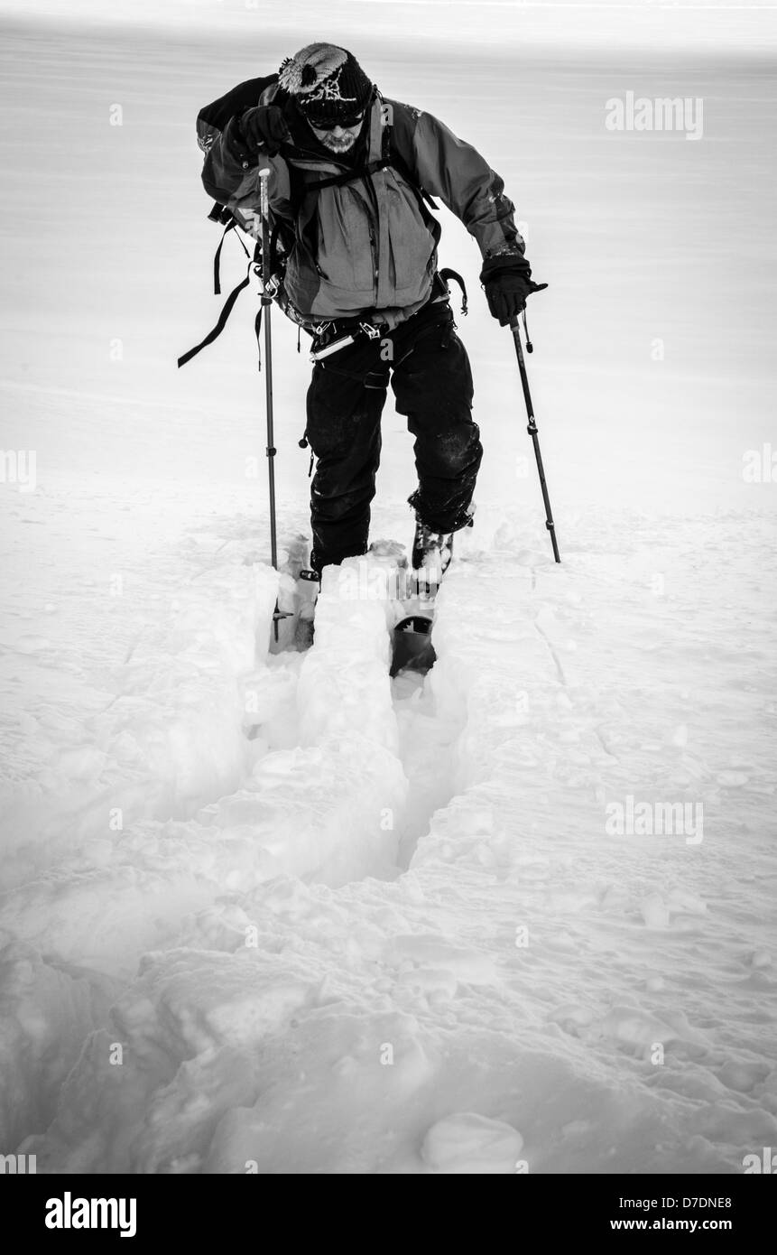 Cross Country Skifahrer in Alaska Stockfoto