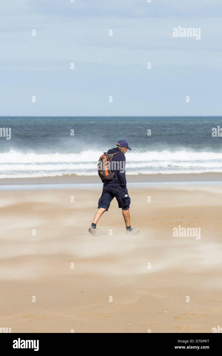 Mann zu Fuß durch Wind geblasen Sand an einem luftigen Feiertag Samstag am Strand Redcar, Redcar, Cleveland, Nord-Ost-England, UK. Stockfoto