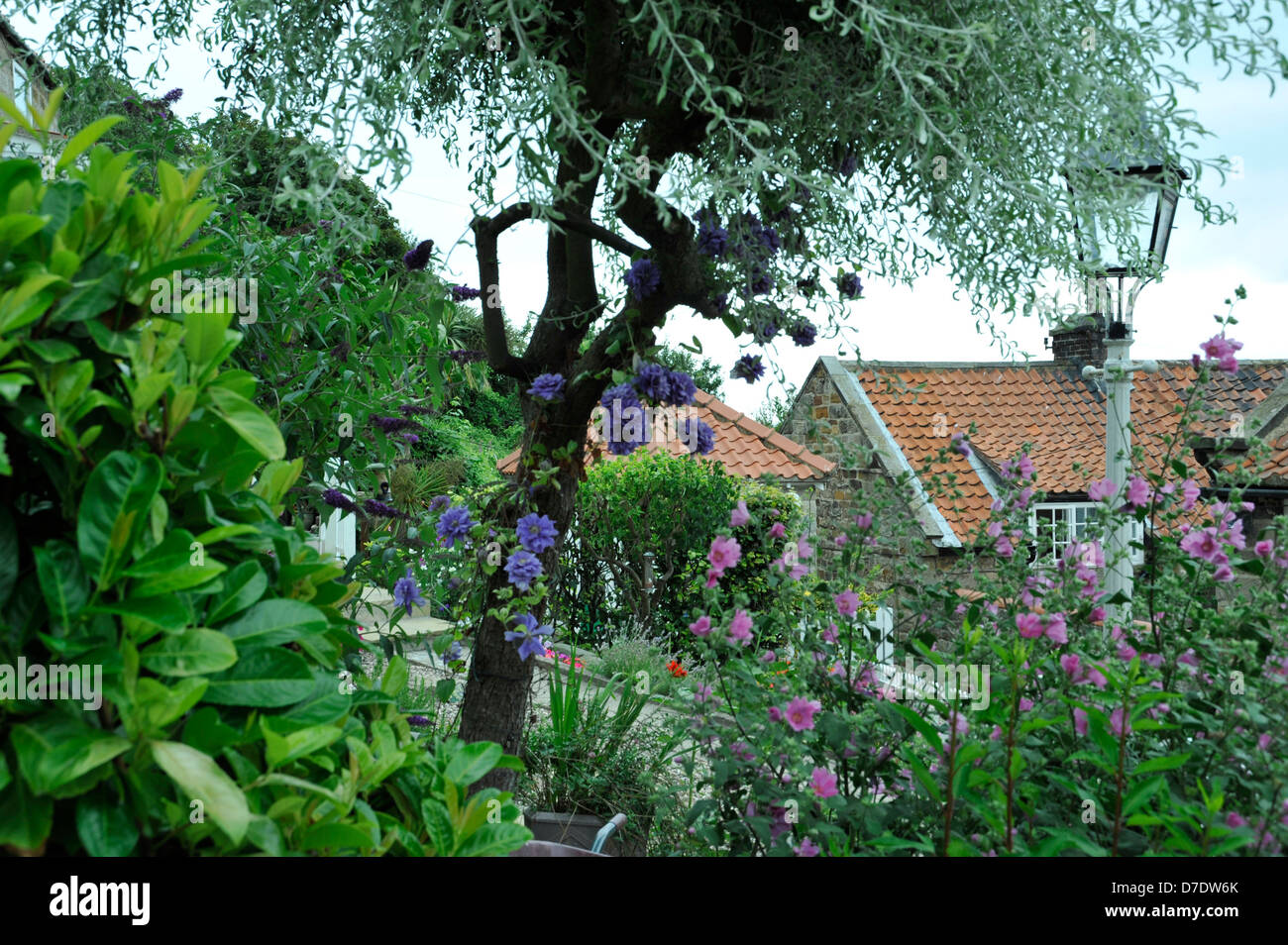 Dorf der Runwick-Bucht am Meer Stockfoto