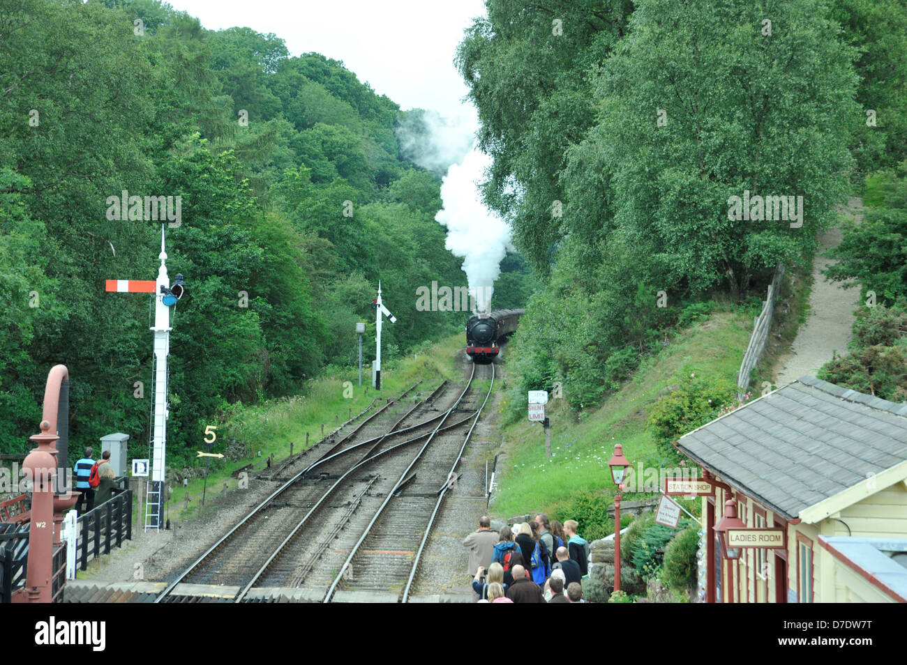 Dampf-Zug Ankunft am Bahnhof Goathland Menschen, Dampf, Eisenbahnlinien, Ferngespräche Stockfoto