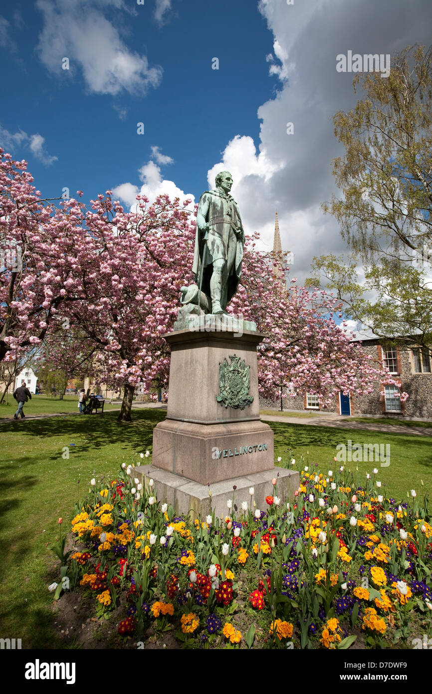 Norwich Cathedral Stockfoto