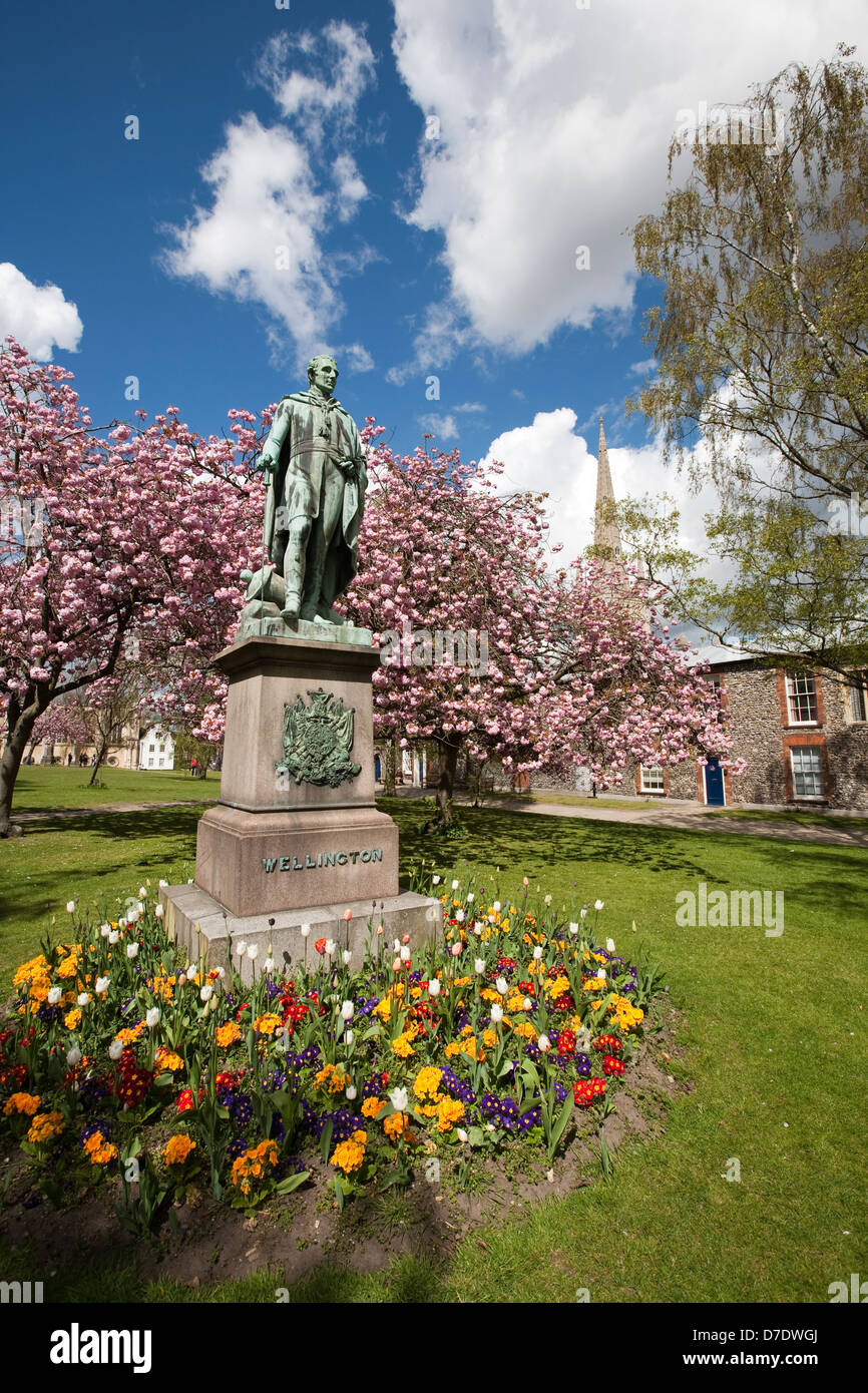 Norwich Cathedral Stockfoto