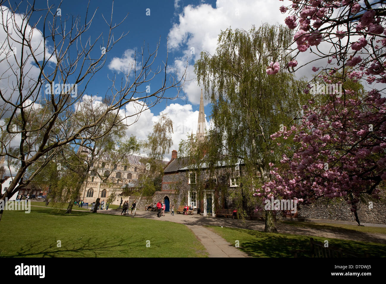 Norwich Cathedral Stockfoto