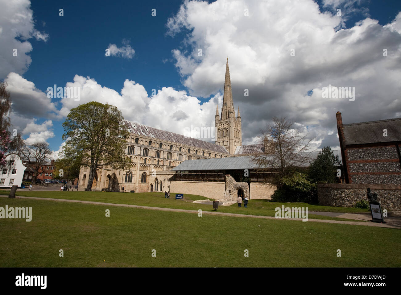 Norwich Cathedral Stockfoto