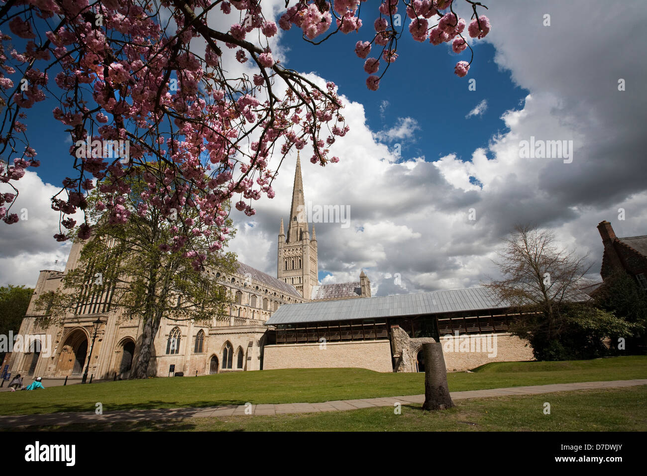Norwich Cathedral Stockfoto