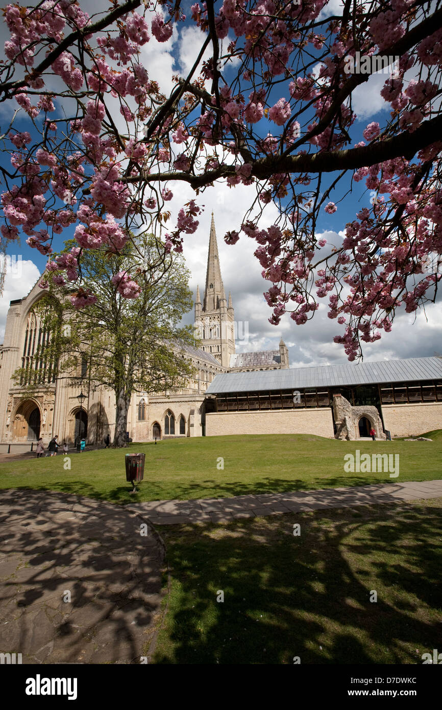 Norwich Cathedral Stockfoto