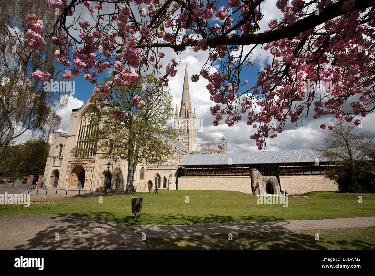 Norwich Cathedral Stockfoto