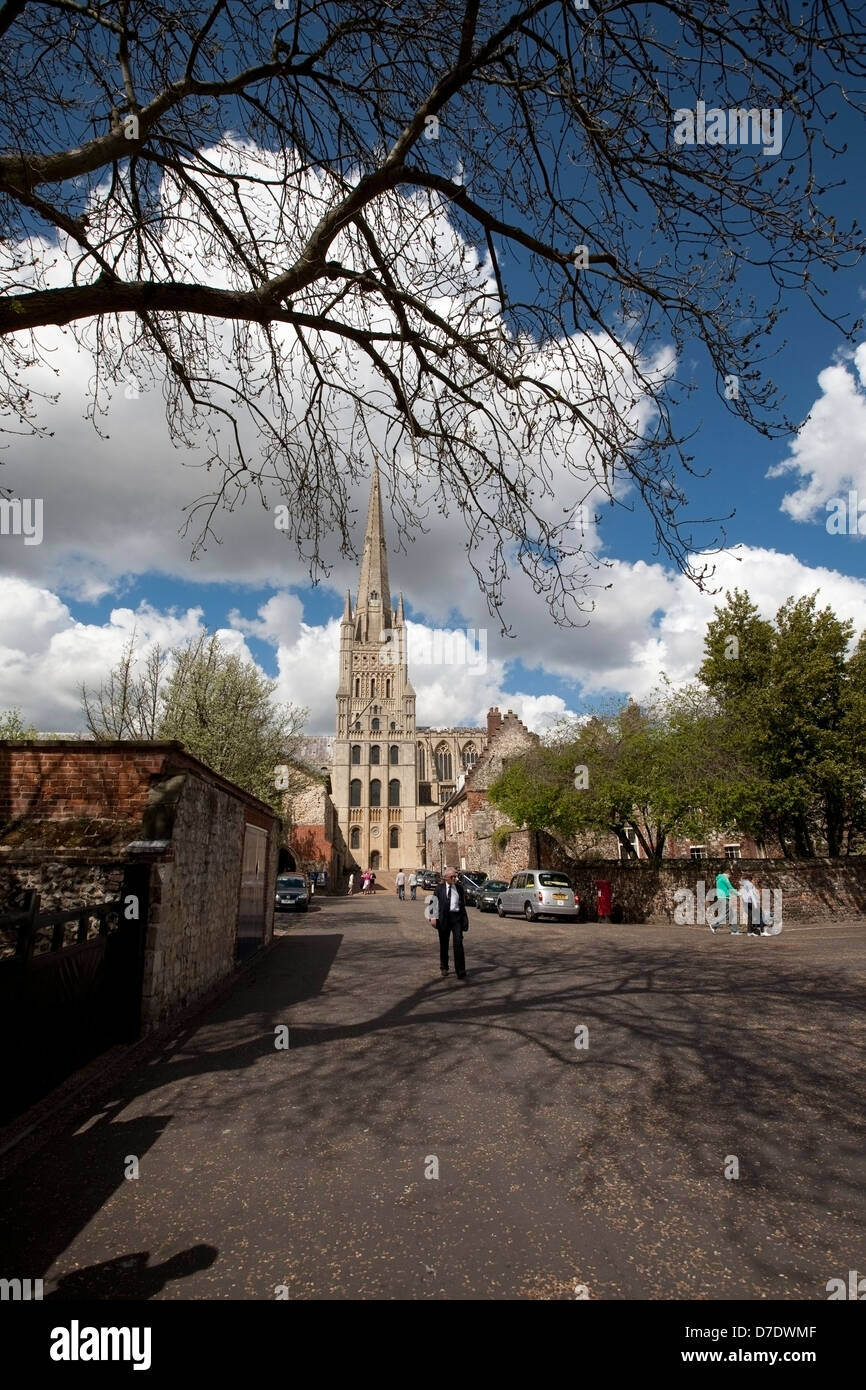 Norwich Cathedral Stockfoto