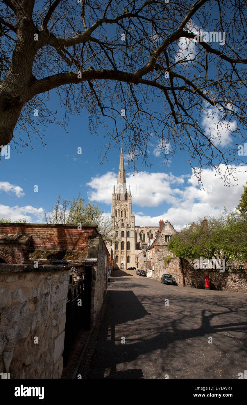Norwich Cathedral Stockfoto