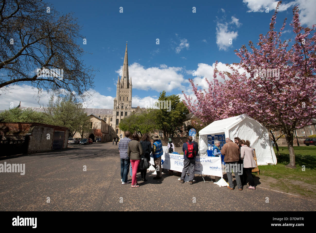 Norwich Cathedral Stockfoto