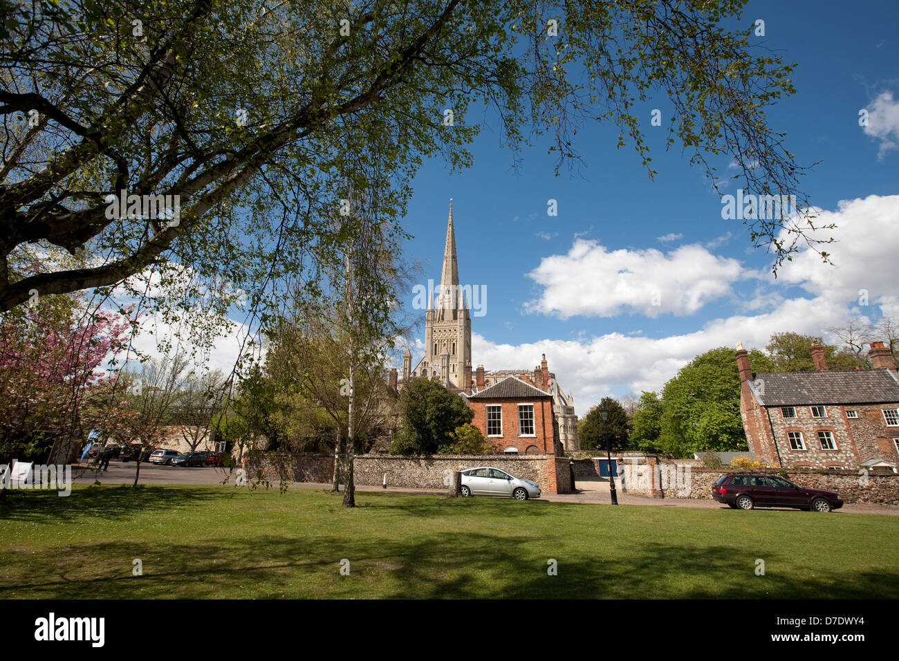 Norwich Cathedral Stockfoto