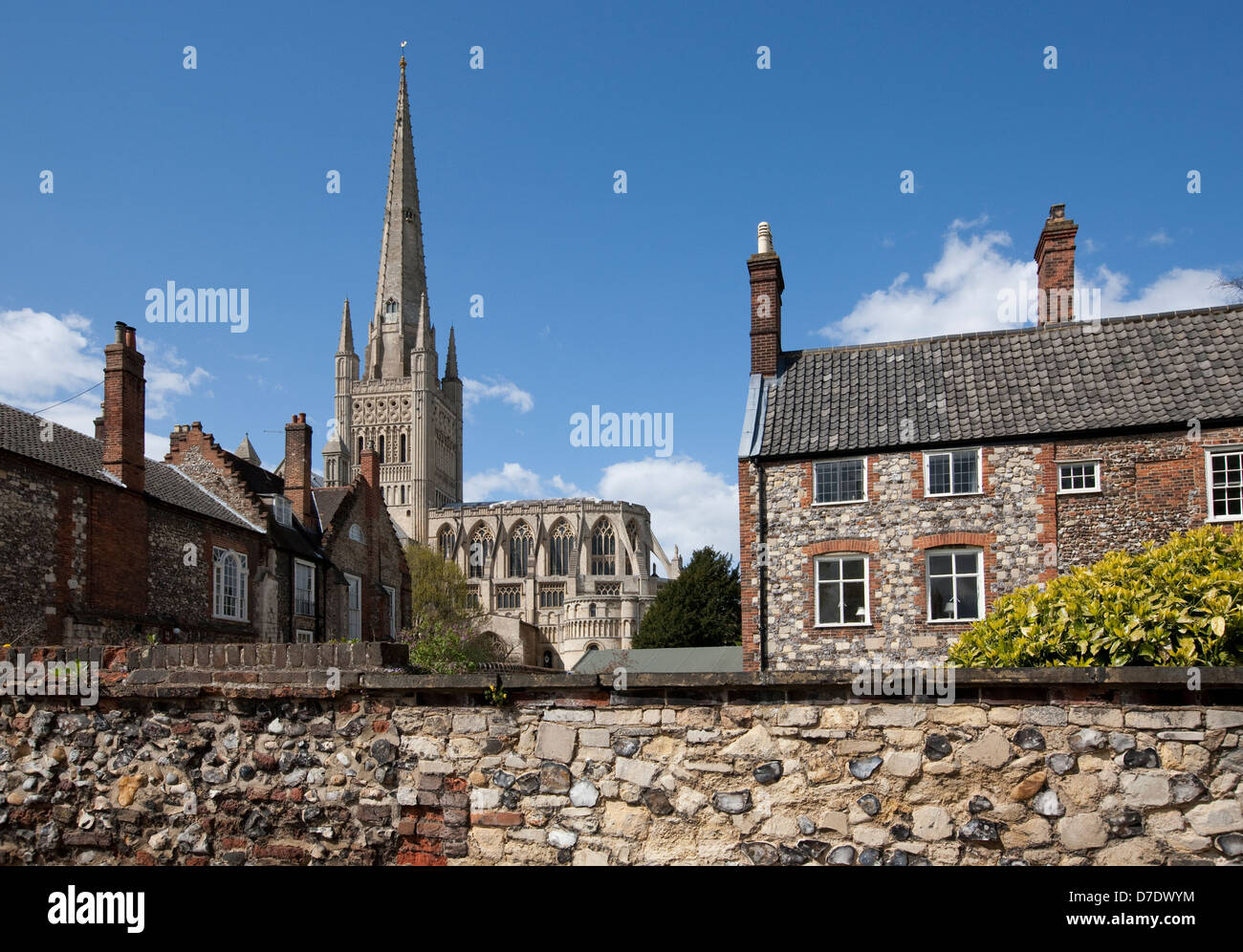 Norwich Cathedral Stockfoto