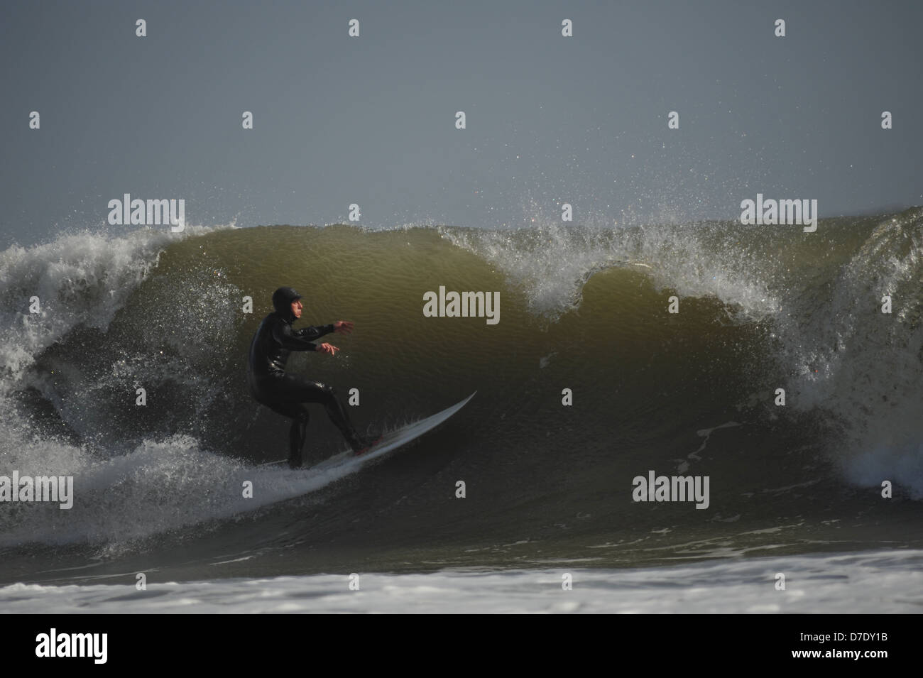 Eine Curling-Welle droht, eine Surfer zu verschlingen, als er über das Gesicht Geschwindigkeiten.  Surfen auf Gower, Wales, UK Stockfoto