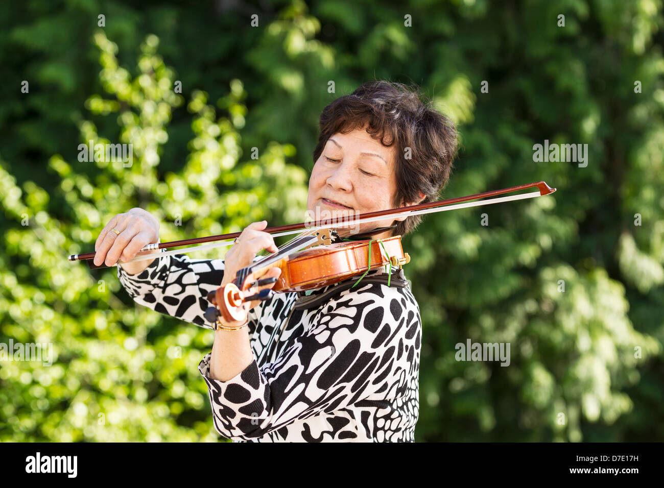 Horizontale Foto von Senior Asiatin, die Konzentration während des Spiels der Violine im Freien mit leuchtend grünen Bäumen im Hintergrund Stockfoto