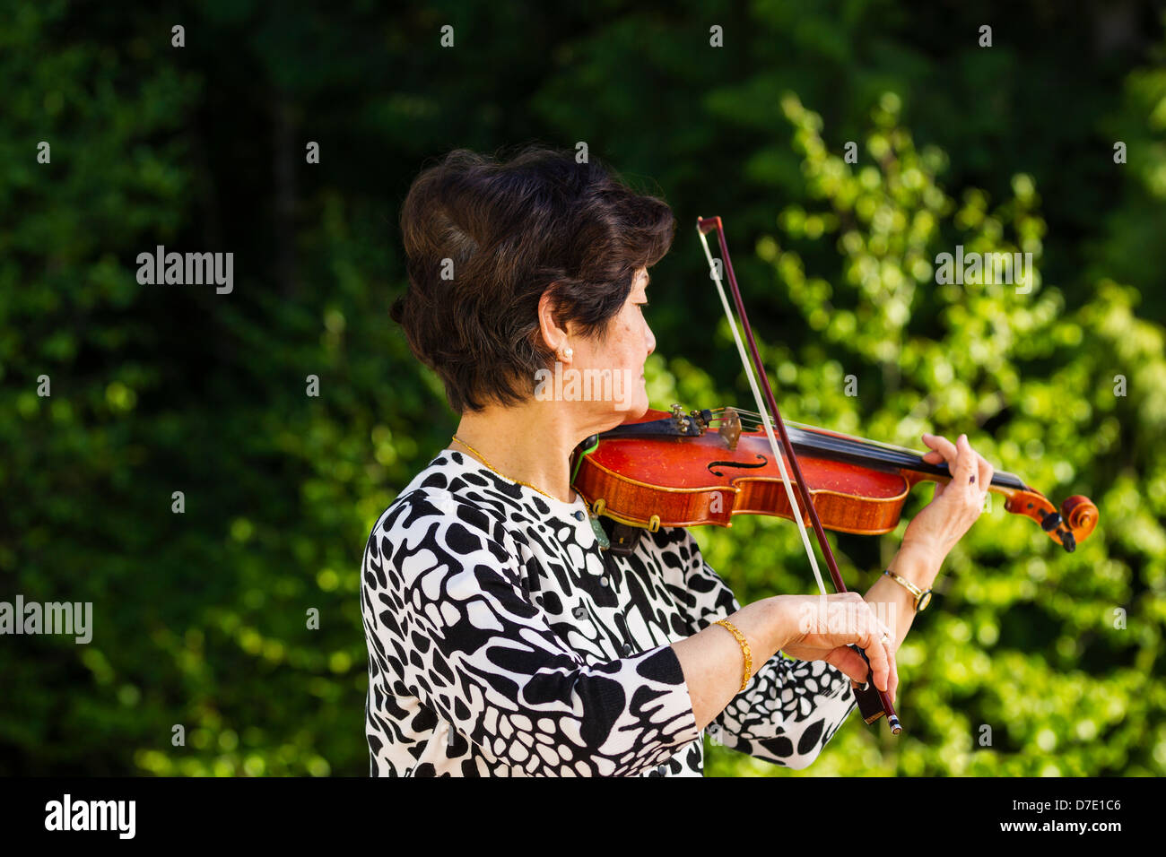 Horizontale Foto von Senior Asiatin zur Waldseite beim Spielen der Violine im Freien mit grünen Bäumen im Hintergrund Stockfoto
