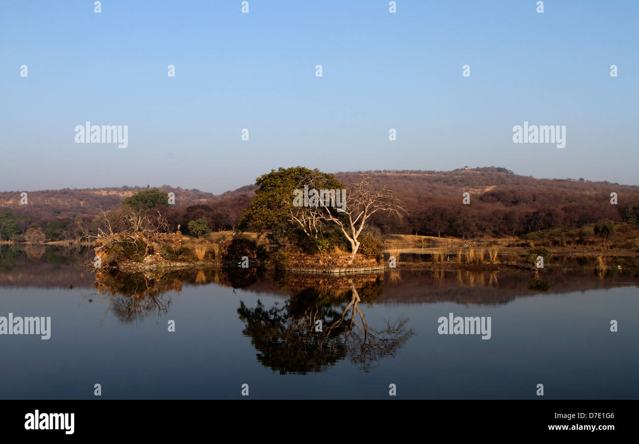 Ranthambhore Tiger Reserve, Land der Tiger Stockfoto