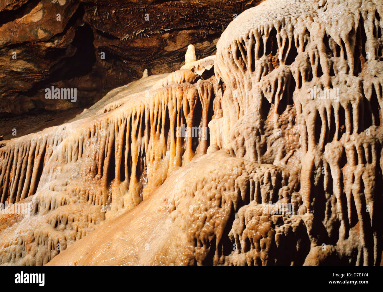 Gough Höhle, Cheddar, UK. Kalkstein-Formationen Stockfoto
