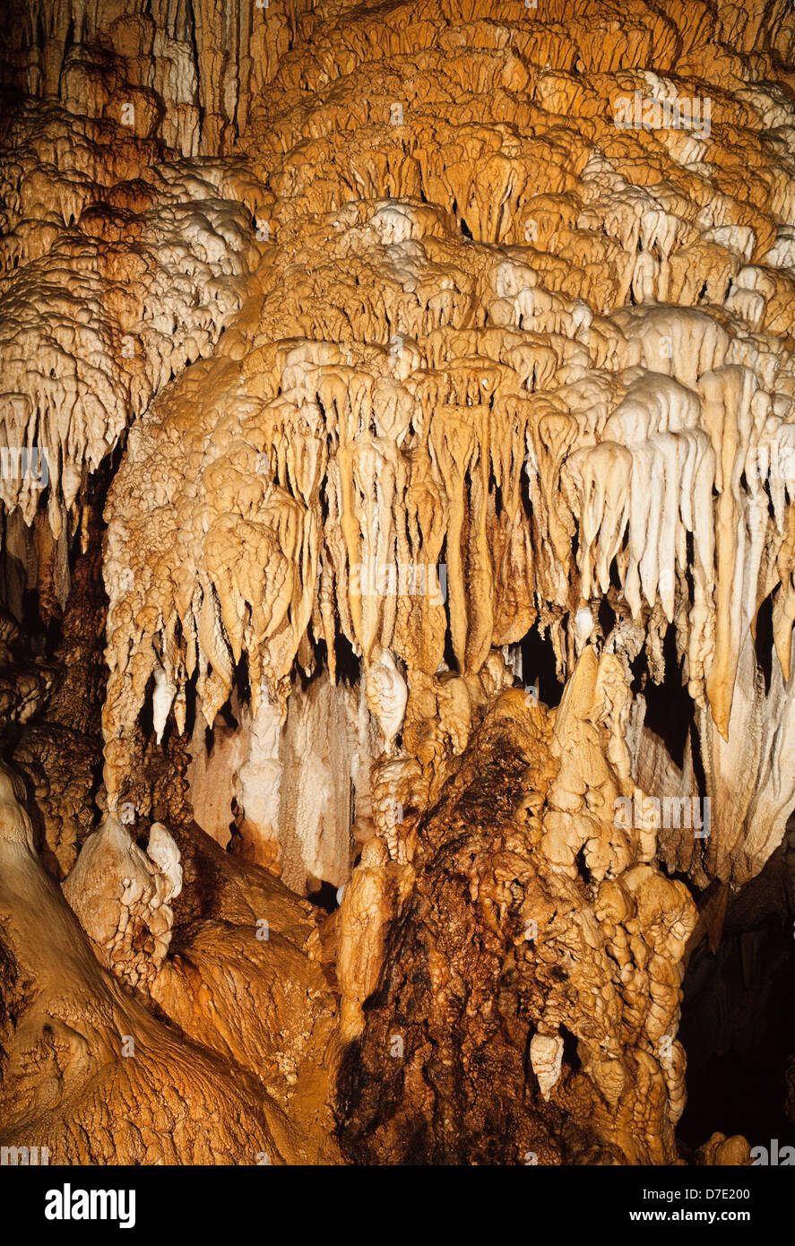 Gough Höhle, Cheddar, UK. Kalkstein-Formationen Stockfoto