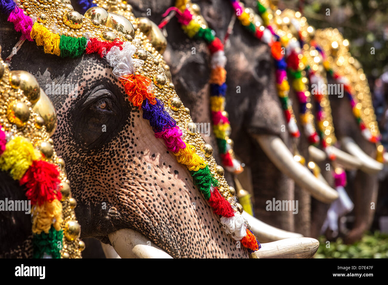 Thrissur Pooram, hinduistische Tempelfest in Thrissur, Kerala, Südindien Stockfoto