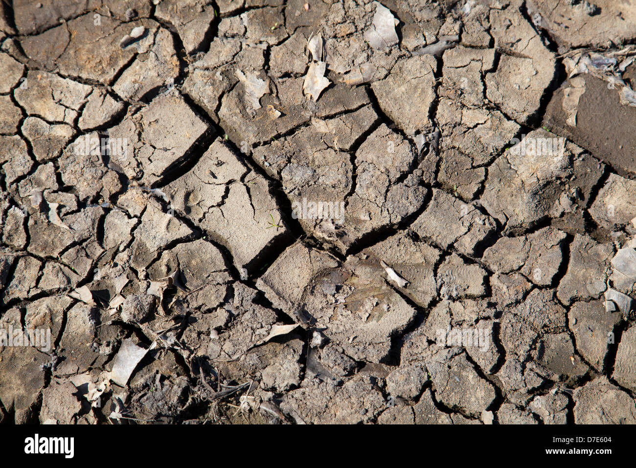 Trockene rissige Erde Stockfoto