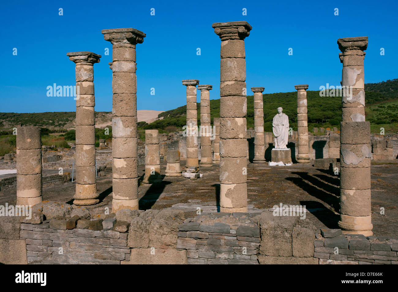 Römische Ruinen Baelo Claudia-Basilika, Tarifa, Cadiz-Provinz, Region von Andalusien, Spanien, Europa Stockfoto