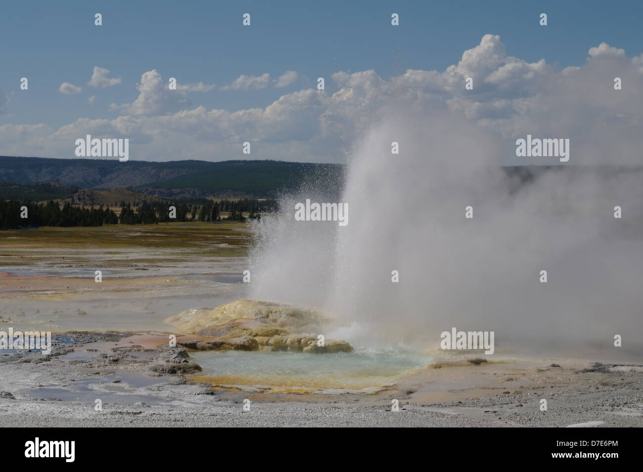 Blauer Himmel weiße Wolken anzeigen heißes Wasser schießen senkrecht aus bunten Kegel Clepsydra Geyser, Lower Geyser Basin, Yellowstone Stockfoto