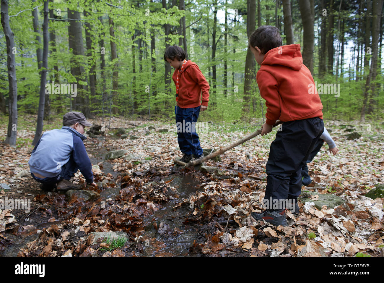 Kinder entdecken im Wald - Jungs spielen im freien Stockfoto