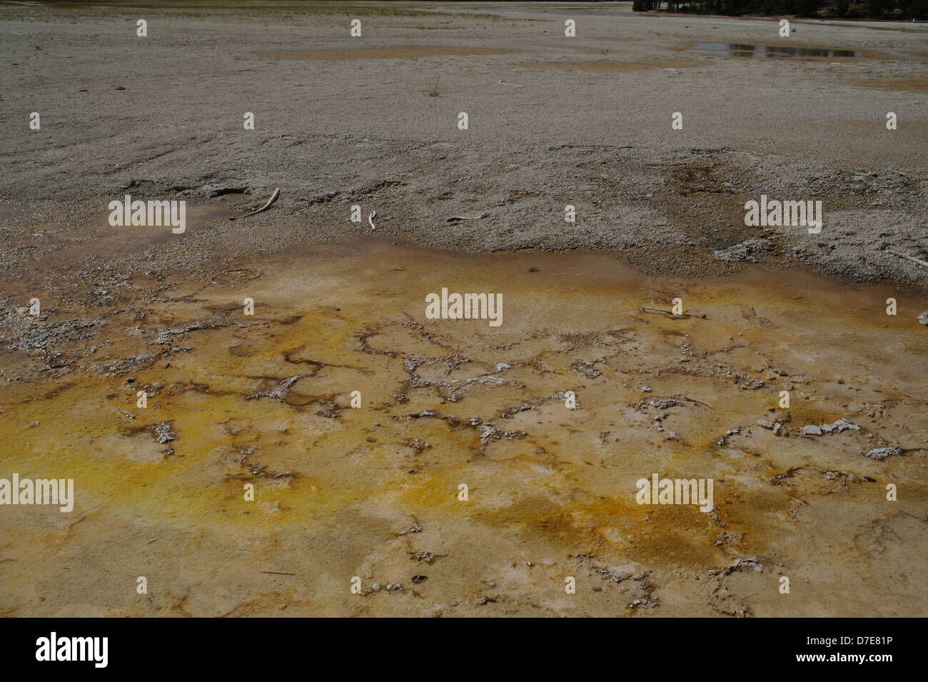 Braune bakterielle Matte, graue Sinter, Silex Frühling Overflow, Brunnen-Gruppe, Lower Geyser Basin, Yellowstone Hotspot, Wyoming, USA Stockfoto