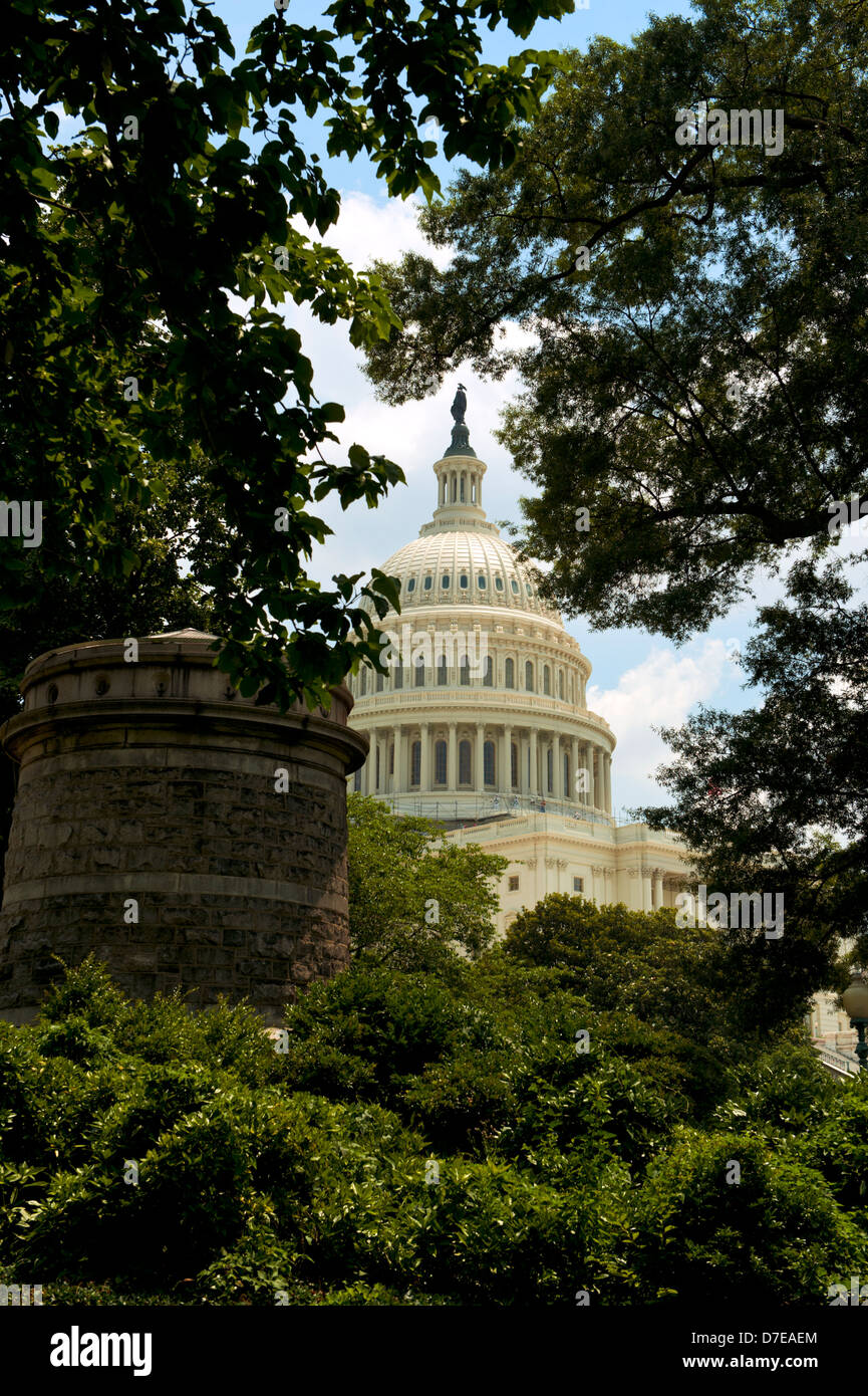 Das US Capitol Building in Washington, D.C. künstlerisch umrahmt durch Bäume Stockfoto
