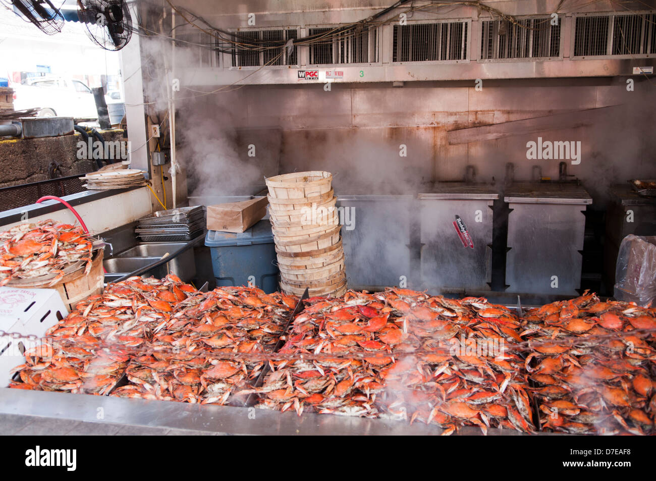 Dampfend heiß frisch gekochten blaue Krabben an der Washington DC Waterfront Wharf an der Maine Avenue Stockfoto