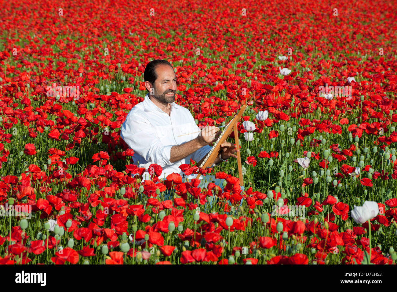 Malen Urlaub im freien Mann in Bereichen von wilden Mohn mit Spanien Stockfoto