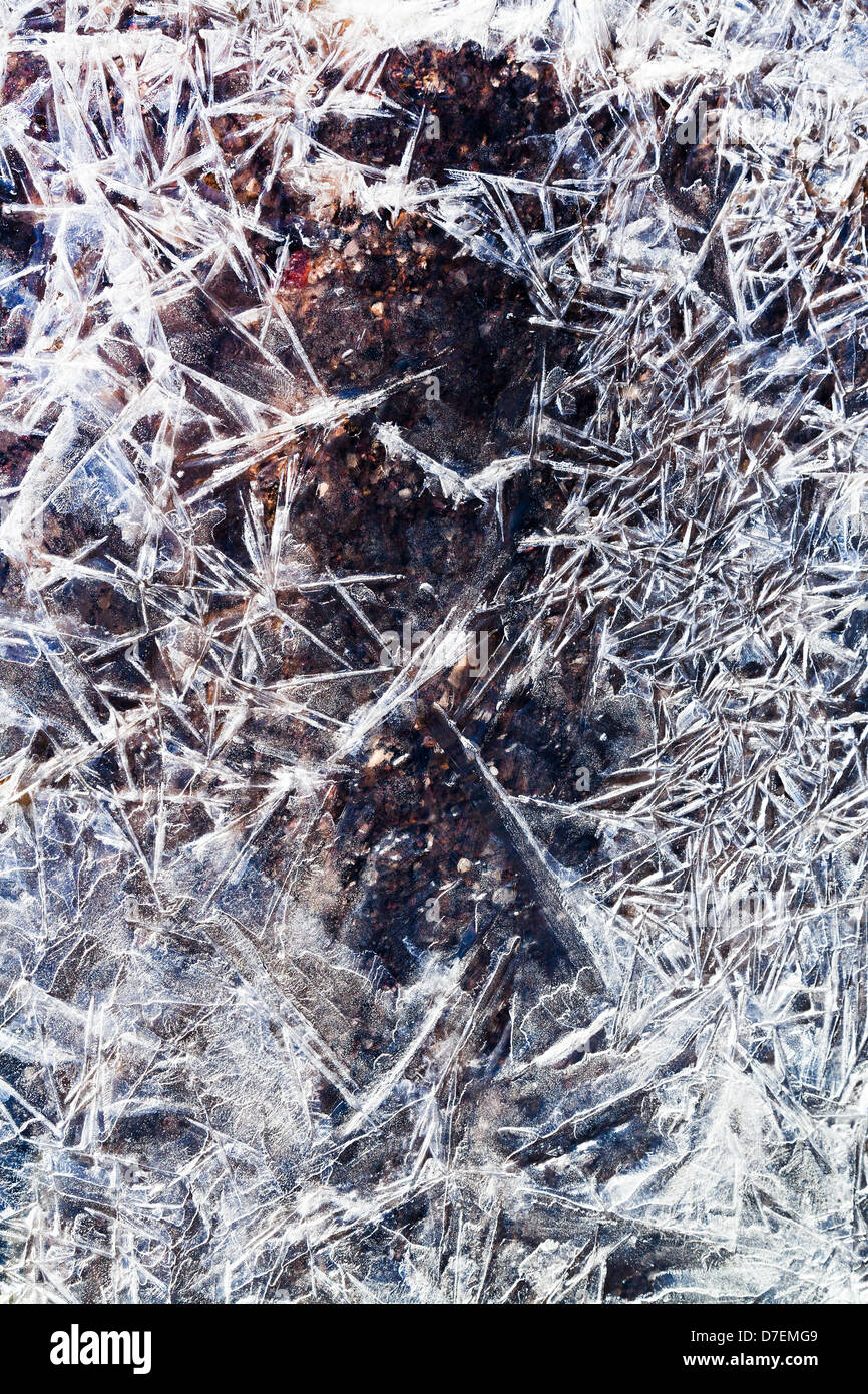 Texsture aus Eiskristallen unter dem gefrorenen Wasser im Frühlingswald Stockfoto