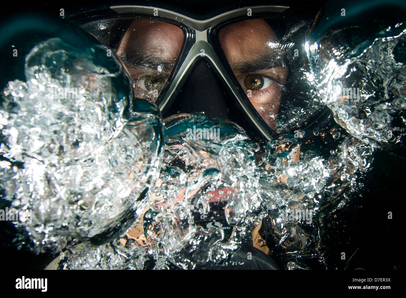 Kampf gegen Kamera führt Unterwasser-Fotografie-Ausbildung. Stockfoto