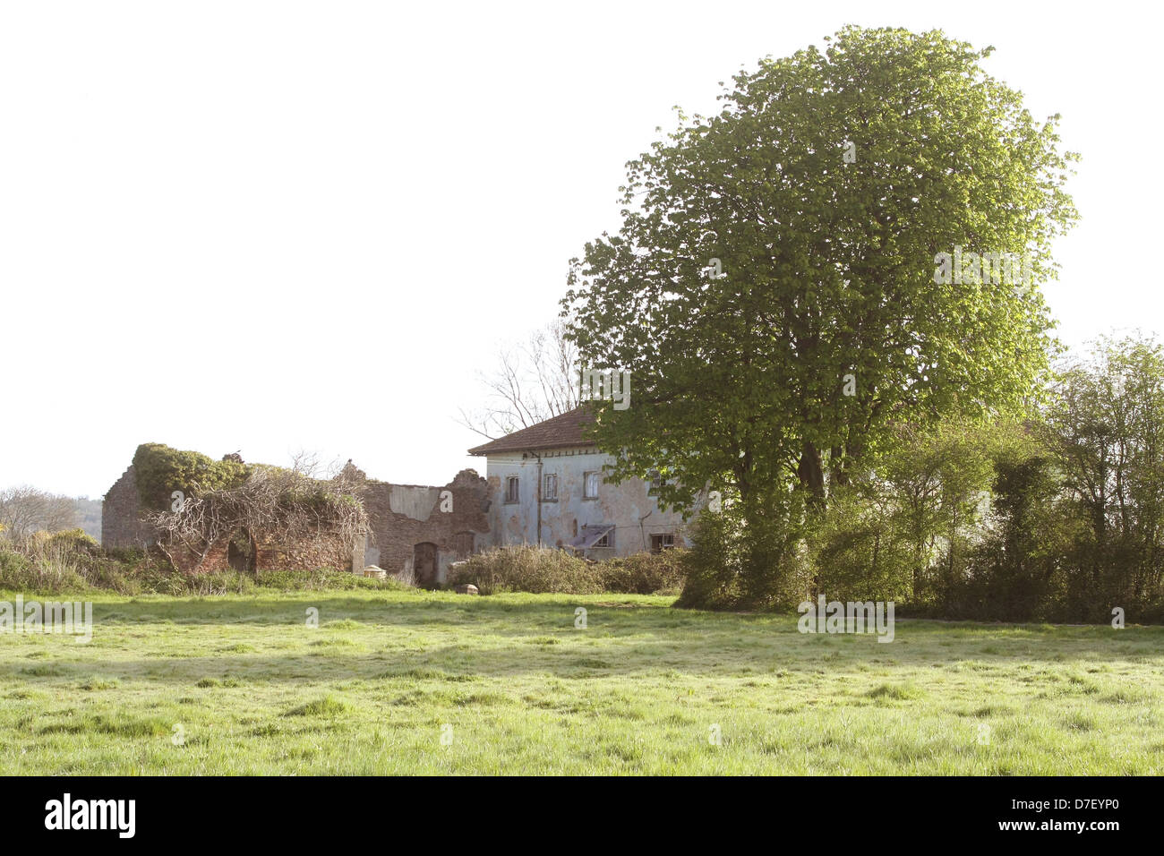 Ruine eines Bauernhauses in den Bäumen Stockfoto