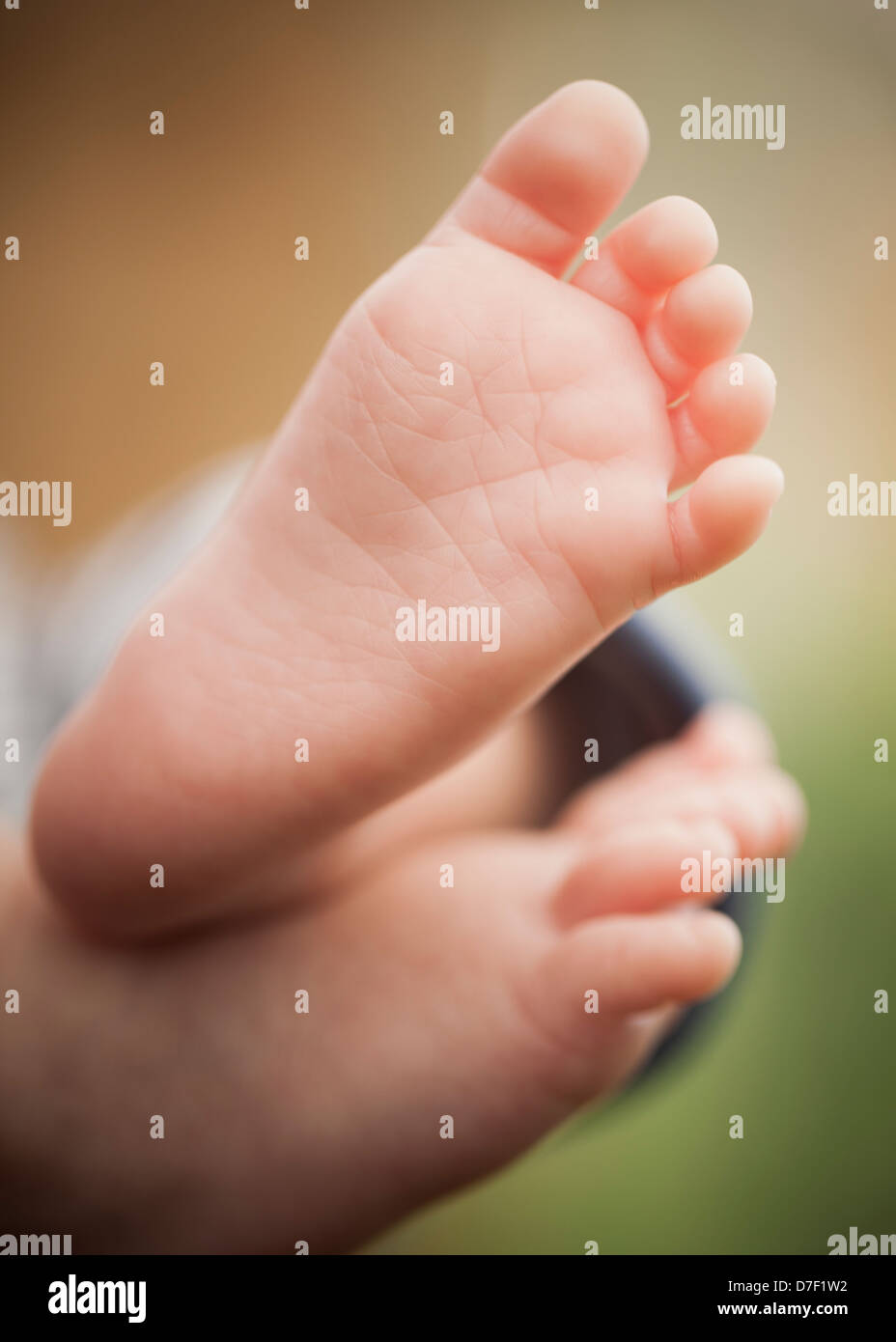 Baby Füße hautnah mit begrenzten Fokus Stockfoto