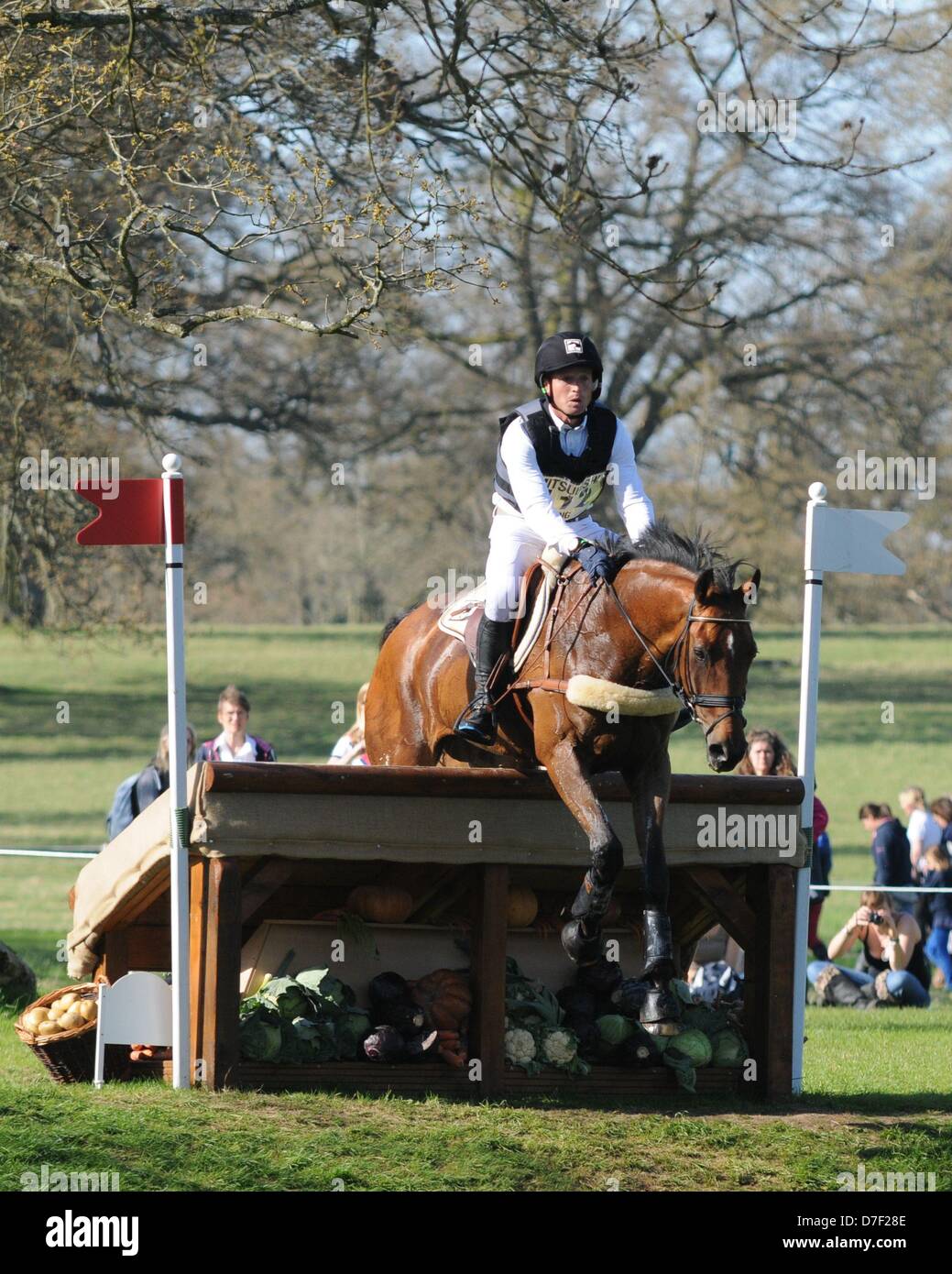 Michael Jung (GER) Reiten La Biosthetique - Sam FBW in der Cross Country-Phase des 2013 Mitsubishi Motors Badminton Horse Trials Stockfoto