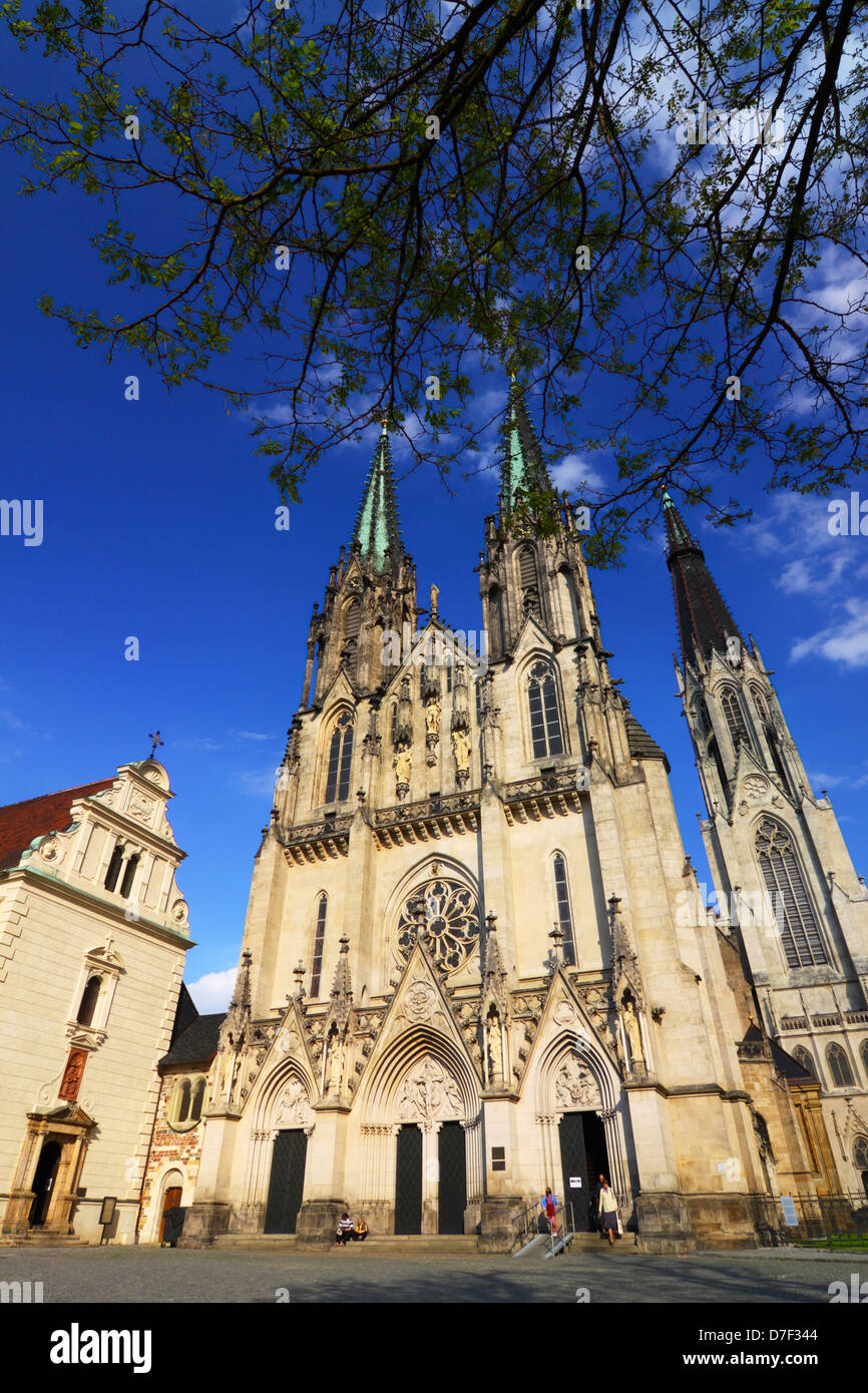 St. Wenceslas Kathedrale. Olmütz, Mähren, Tschechische Republik Stockfoto