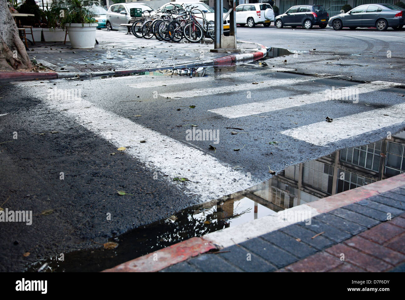 Eine winterliche Straßenbelag in der T-Kreuzung. Es ist Stop Linie Zebrastreifen, Bulding in Pfütze spiegelt. Schuss in Tel-Aviv, israel Stockfoto