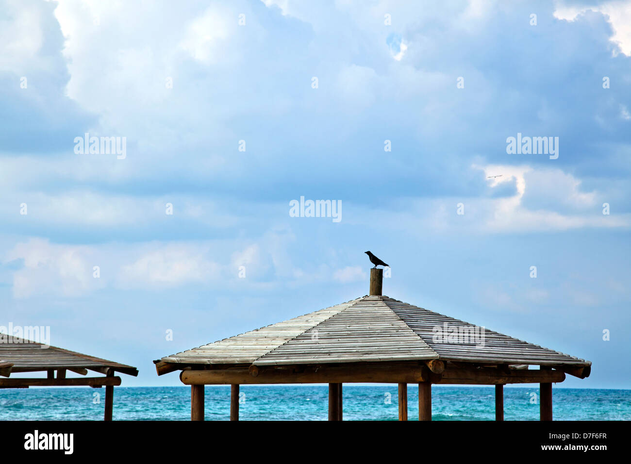 Eine Krähe ruht an der Spitze Schuppen am Strand im Hintergrund dramatischer Wolkenhimmel ruhigem Wasser Meer an schönen Wintertag. Stockfoto