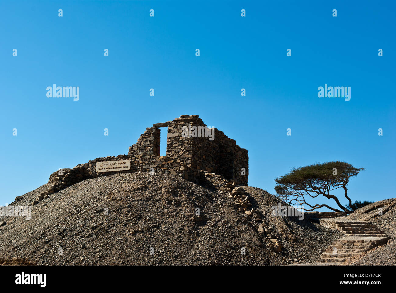 Landschaft mit Ruinen und Akazien in der Nähe von Wadi Gamal (auch buchstabiert als Gemel, Gimal, Gemal oder Jimal) Nationalpark, Oberägypten Stockfoto
