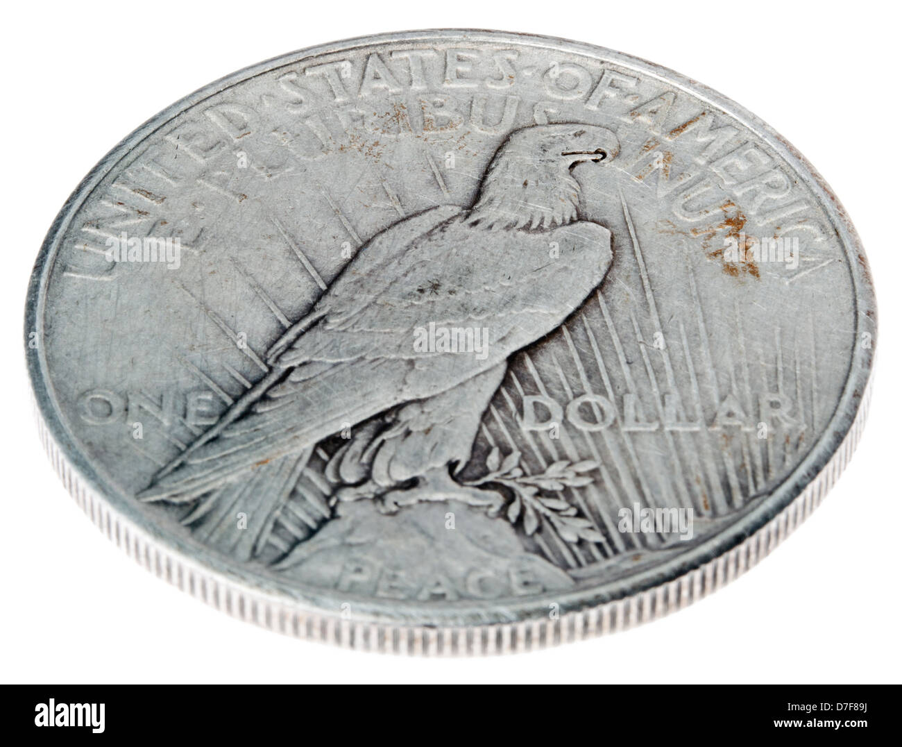 Erhöhte Ansicht umkehren (Tails) Seite Silber Dollar im Jahr 1925 bekannt unter Namen "Peace Dollar" geprägt. Weißkopf-Seeadler ist dargestellt, in Ruhe Stockfoto