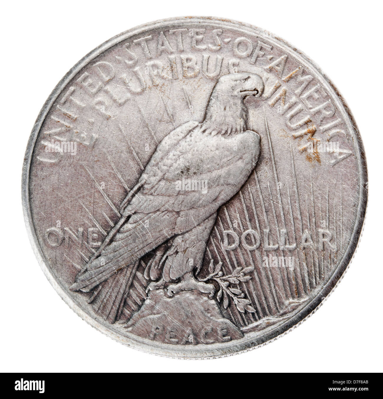 Frontaler Ansicht Rückseite (tails) Seite Silberdollar 1925 bekannt unter Namen "Peace Dollar" geprägt. Weißkopf-Seeadler ist dargestellt, in Ruhe Stockfoto