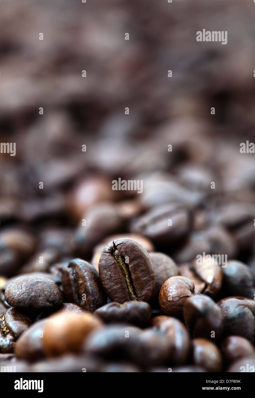 Eine flache Schärfentiefe-Bild Kaffeebohnen Bokeh-Effekt im Hintergrund zu schaffen. Während einzelne Kaffeebohne alle erhält Stockfoto