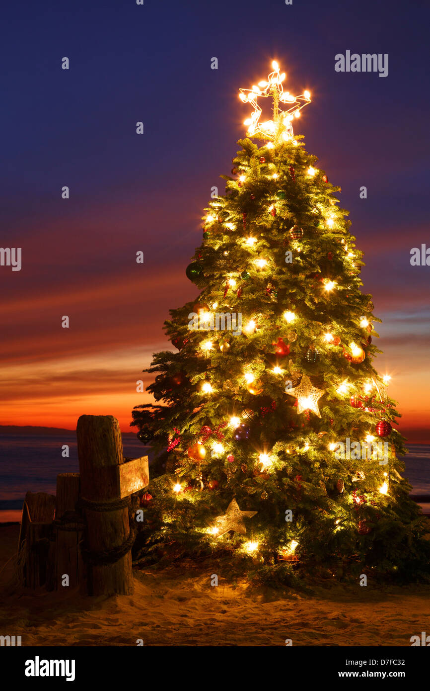Weihnachtsbaum am Crystal Cove Beach Cottages, Crystal Cove State Park, Newport Beach, Orange County, Kalifornien. Stockfoto