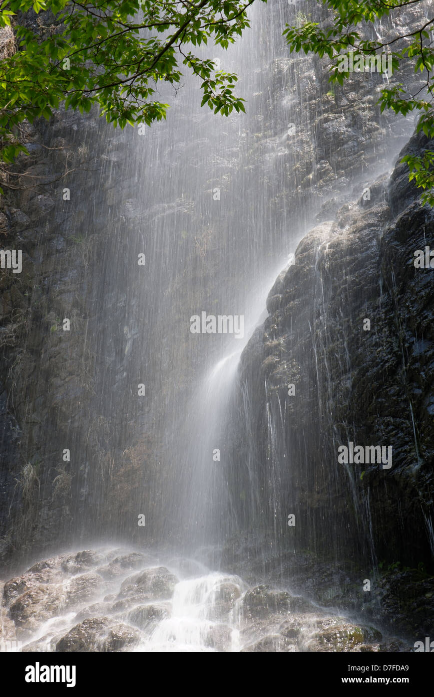 Wasserfall, herabfallende Felsen im Wald Stockfoto