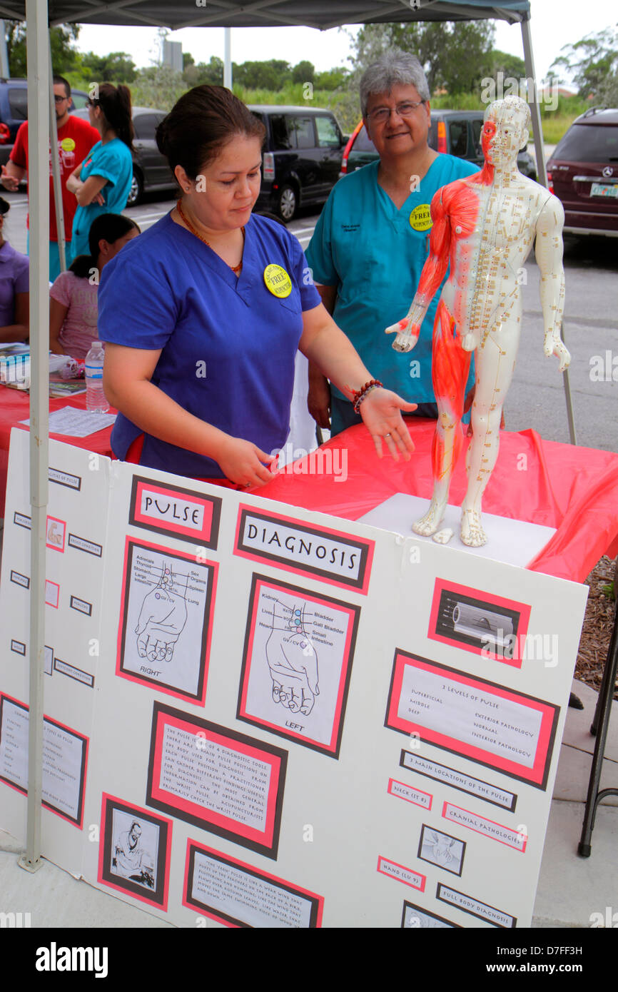 Miami Florida, Homestead, Harvest Farmers Market in Verde Gardens, hispanische Frau weibliche Frauen, Akupunktur, Akupunkturist, Aussteller, Poster, Scale-Modell, Summen Stockfoto