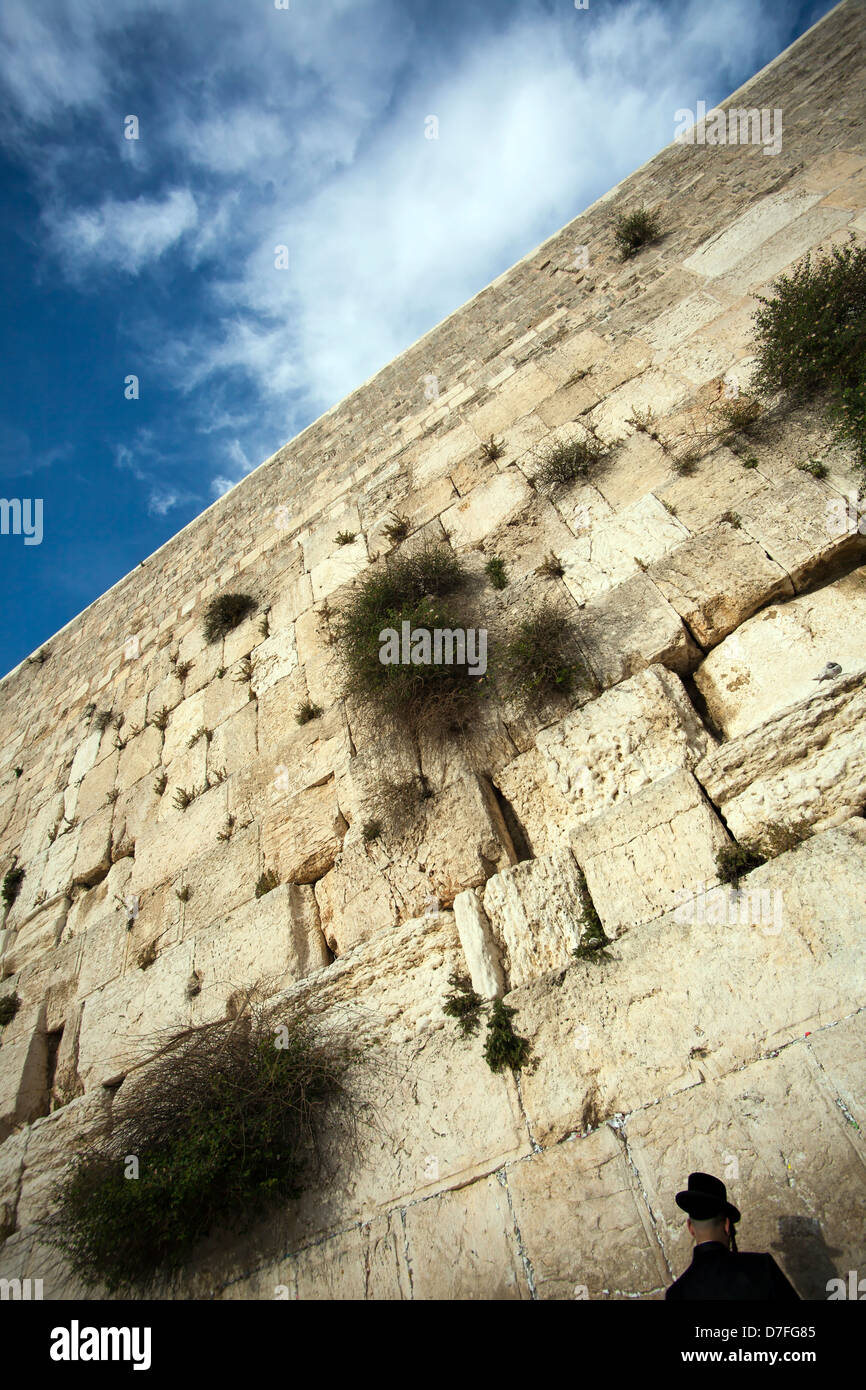Ein orthodoxer Jude gedrückt im Gebet gegen Klagemauer in der Altstadt Jerusalems. DEAR Inspektor: Es gibt in der Tat Person in Stockfoto