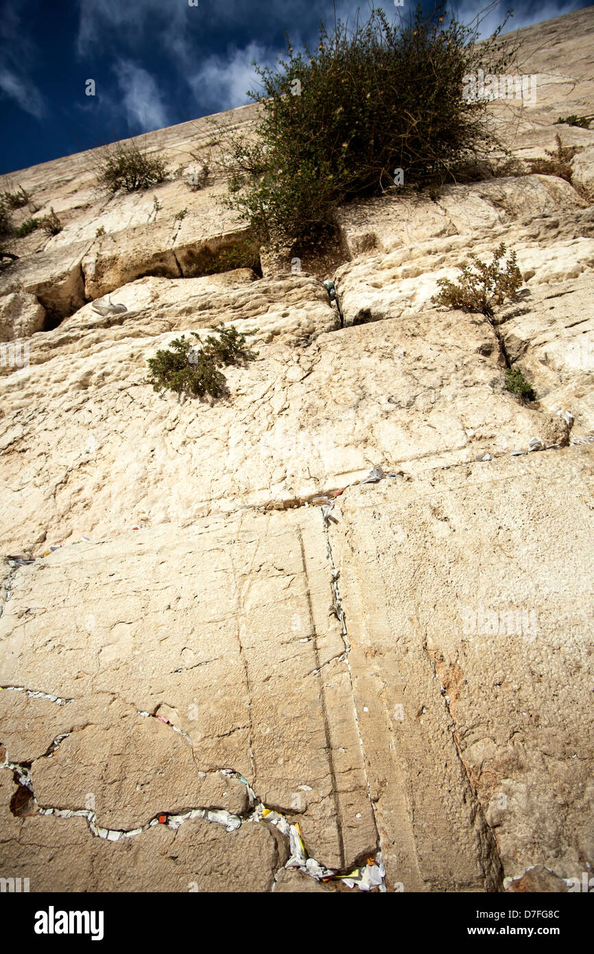 Eine Nahaufnahme Klagemauer in der Altstadt Jerusalems. In die Spalten zwischen den Steinen gibt es zahlreiche Hinweise plädiert auf Anfragen von Menschen, Stockfoto