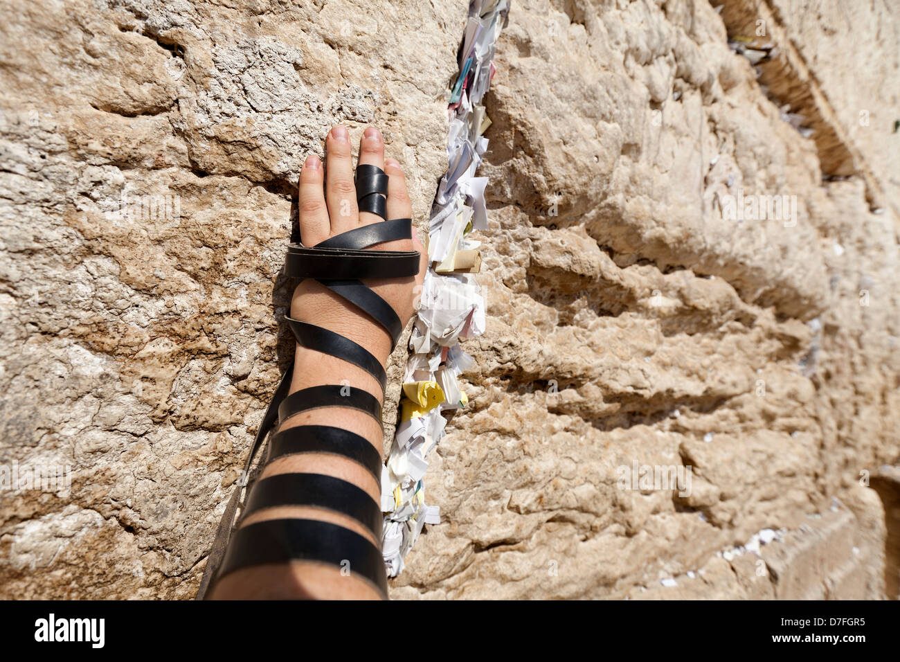Der linken Hand jüdische Erwachsene (Anfang 30) kaukasischen Mann umwickelt Gebetsriemen ruht auf heilige Klagemauer (aka Klagemauer) Stockfoto