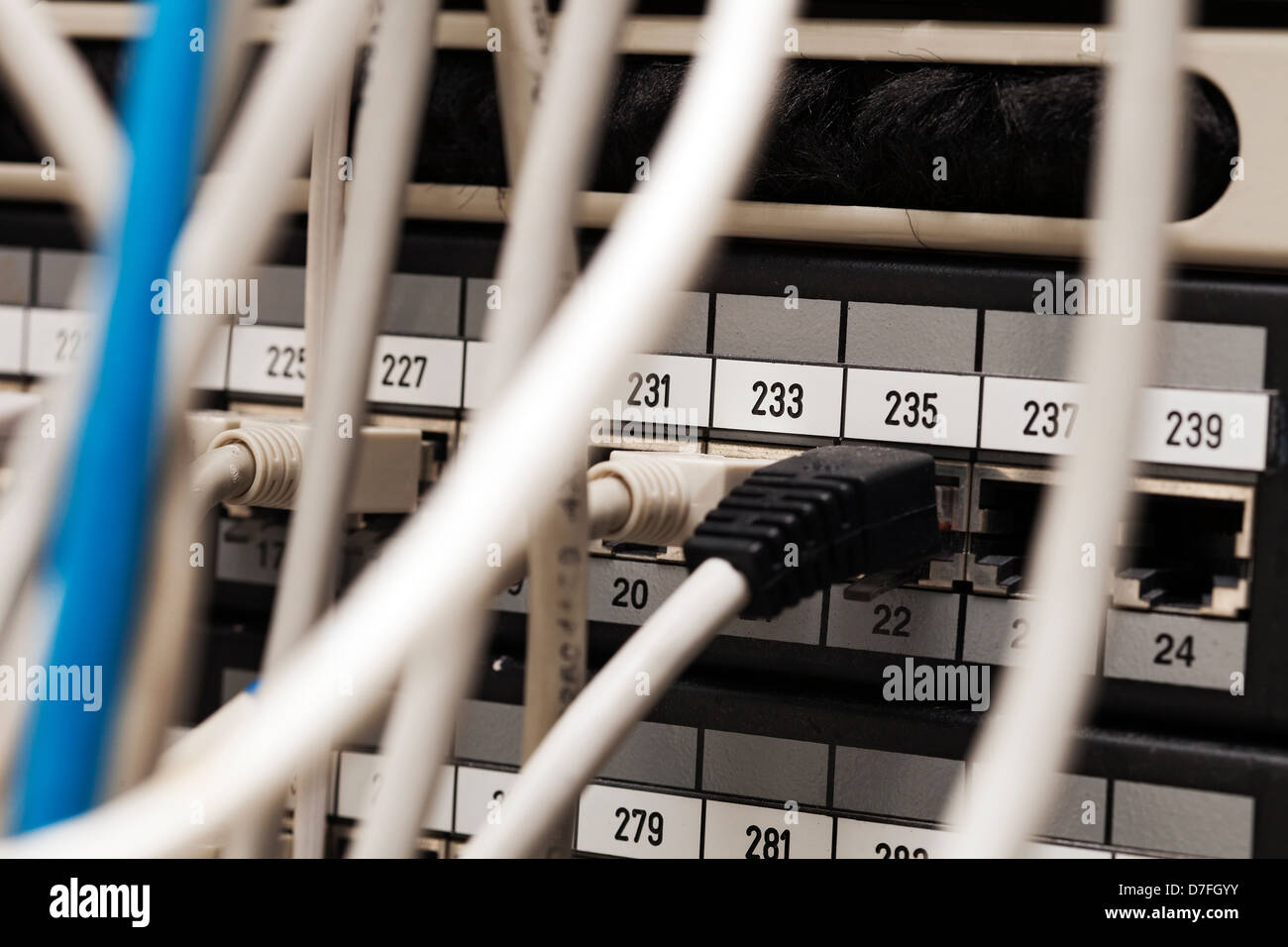 Makro Nahaufnahme auf einem Netzwerkserver, welche mehrere, den netork Kabel angeschlossen sind. Stockfoto